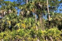 Land for sale in Hendry County, Florida