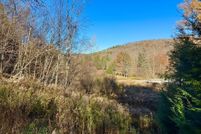 Land for sale in Tioga County, Pennsylvania