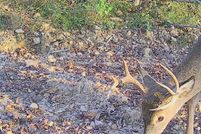 Farm and Ranch for sale in Pulaski County, Kentucky