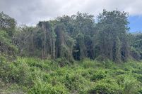 Land for sale in Hawaii County, Hawaii