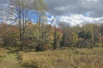 Land for sale in Greene County, Virginia