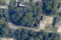 Undeveloped Land for sale in Flagler County, Florida