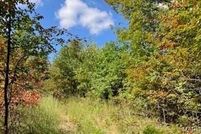 Land for sale in Iron County, Missouri