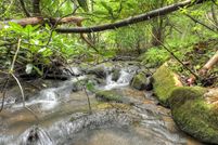 Land for sale in Fannin County, Georgia