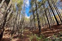Land for sale in McDowell County, North Carolina