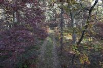 Undeveloped Land for sale in Mason County, Michigan