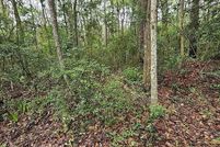 Land for sale in Glynn County, Georgia