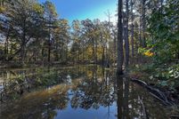 Land for sale in Ripley County, Missouri