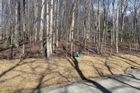 Undeveloped Land for sale in Randolph County, West Virginia