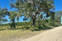 Land for sale in Levy County, Florida