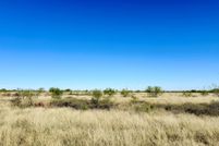 Land for sale in Scurry County, Texas
