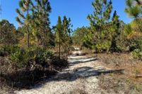 Land for sale in Brantley County, Georgia