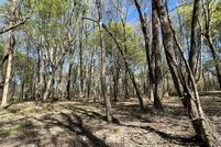 Land for sale in Macon County, Tennessee