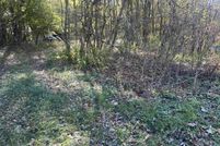 Undeveloped Land for sale in Marion County, Illinois