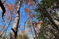 Land for sale in Transylvania County, North Carolina