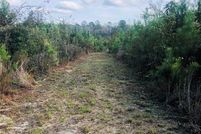 Undeveloped Land for sale in Baldwin County, Alabama