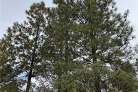 Land for sale in Butte County, California