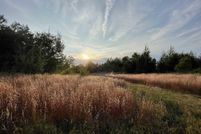 Land for sale in Wexford County, Michigan