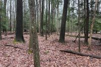 Undeveloped Land for sale in Jefferson County, Pennsylvania
