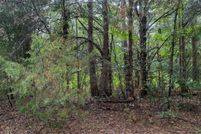 Land for sale in Barbour County, Alabama