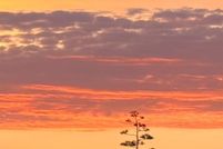 Farm and Ranch for sale in Napa County, California