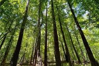 Land for sale in DeKalb County, Georgia