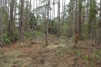Homesite for sale in Franklin County, Florida