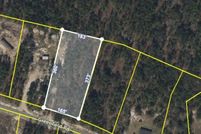 Land for sale in Pierce County, Georgia
