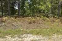 Land for sale in Brantley County, Georgia