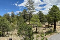 Land for sale in Navajo County, Arizona
