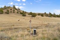 Farm and Ranch for sale in Gallatin County, Montana
