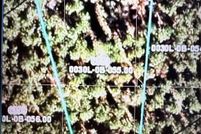 Land for sale in Lancaster County, South Carolina