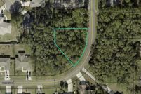 Undeveloped Land for sale in Flagler County, Florida