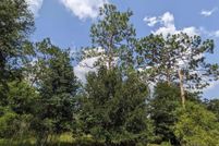 Undeveloped Land for sale in Gilchrist County, Florida