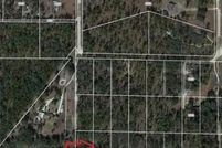 Land for sale in Levy County, Florida