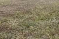 Land for sale in Polk County, Florida