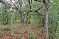 Land for sale in Levy County, Florida