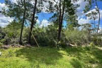 Undeveloped Land for sale in Marion County, Florida