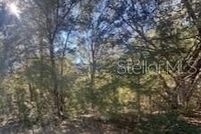 Homesite for sale in Citrus County, Florida