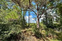 Land for sale in Lake County, Florida