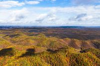 Land for sale in Lewis County, Kentucky