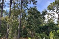 Land for sale in Levy County, Florida