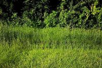 Land for sale in Osceola County, Florida
