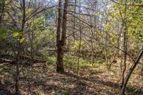 Undeveloped Land for sale in Juneau County, Wisconsin