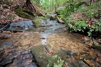 Undeveloped Land for sale in Gilmer County, Georgia