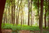 Farm and Ranch for sale in Bristol County, Massachusetts