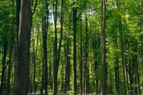 Farm and Ranch for sale in  , Massachusetts