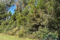 Land for sale in Panola County, Texas