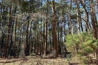 Land for sale in Cherokee County, Texas