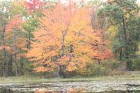 Land for sale in Cass County, Minnesota